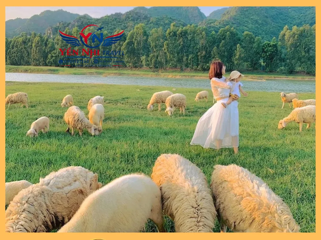 Kinh Nghiệm Du Lịch Cam Ranh — Ăn Gì, Chơi Gì, Ở Đâu ? 23 Dong Cuu Suoi Tien