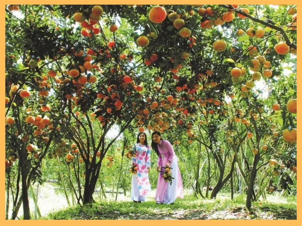 TOP 15 ĐỊA ĐIỂM DU LỊCH TIỀN GIANG NỔI TIẾNG NHẤT 2027 27 Vuon hoa va khu du lich sinh thai tai Chau Thanh