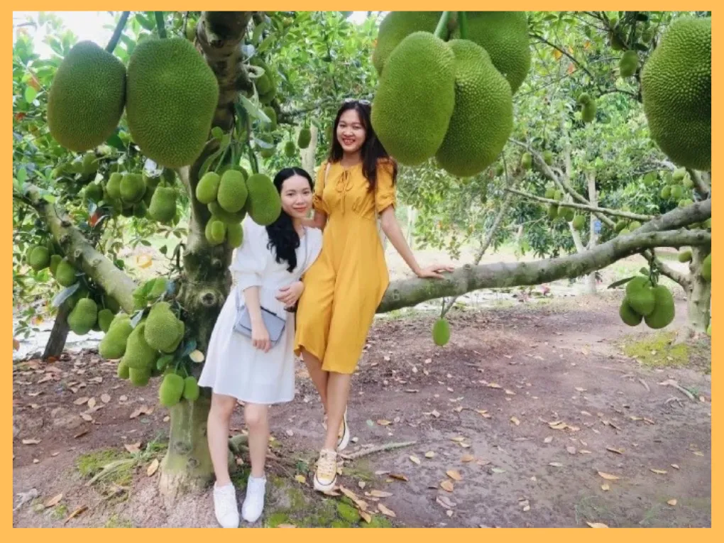 TOP 15 ĐỊA ĐIỂM DU LỊCH TIỀN GIANG NỔI TIẾNG NHẤT 2027 22 Vuon trai cay Vinh Kim – Thuong thuc dac san miet vuon